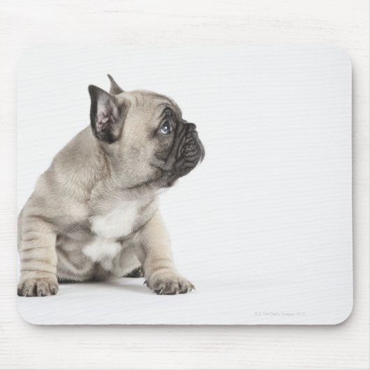 Pedigree puppy muismat (Voorkant)