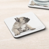 Pedigree puppy onderzetter (Linkerzijde)