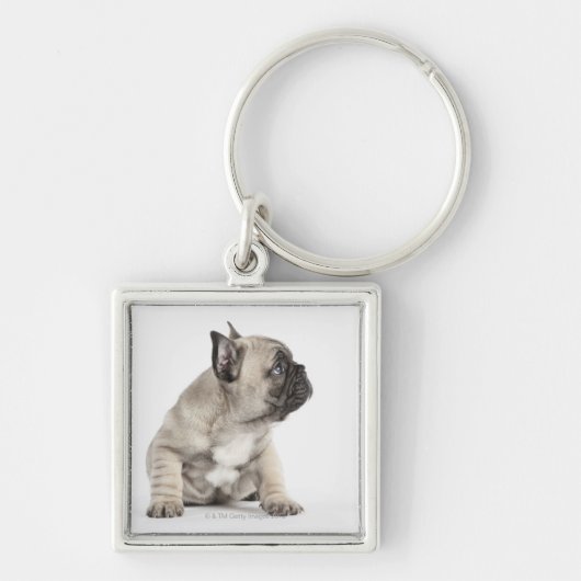Pedigree puppy sleutelhanger (Voorkant)