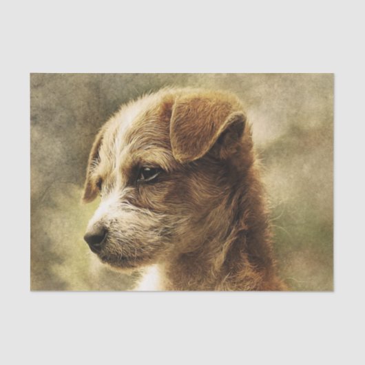  pedofielenfotopapier tissuepapier (Voorkant)