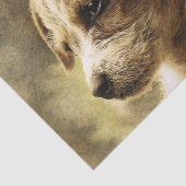  pedofielenfotopapier tissuepapier (Detail)