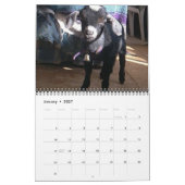 Pedro 2009 Calender Kalender (Jan 2027)