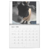 Pedro 2009 Calender Kalender (Mar 2026)