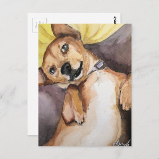 Pedro de Chiweenie Briefkaart (Voorkant / Achterkant)