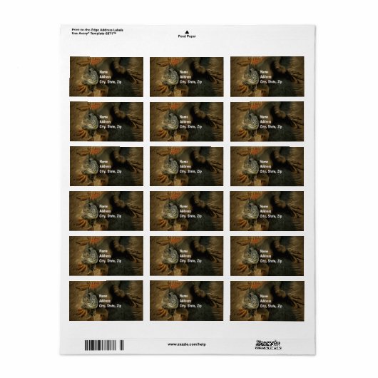 Pedro Iguana 0768 Adres Etiket (Full Sheet)