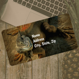 Pedro Iguana 0768 Adres Etiket