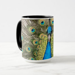 Pedro Peacock Feathers Colorful Wild Bird Peafowl Mok