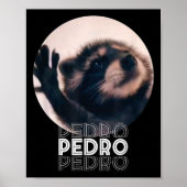 Pedro Racoon Dans Populaire Internet Meme Mapache  Poster (Voorkant)