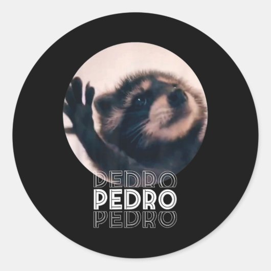 Pedro Racoon Dans Populaire Internet Meme Mapache Ronde Sticker (Voorkant)