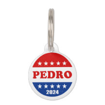 Pedro Voter Button 2024 Verkiezingen Verenigde Sta