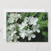 Pee Gee Hydrangea Flowers Monogramed Blank Note Kaart (Voorkant)