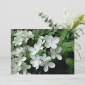 Pee Gee Hydrangea Flowers Monogramed Blank Note Kaart (Staand voorkant)