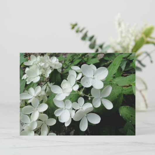 Pee Gee Hydrangea Flowers Monogramed Blank Note Kaart (Staand voorkant)