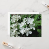 Pee Gee Hydrangea Flowers Monogramed Blank Note Kaart (Voorkant / Achterkant in situ)