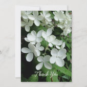 Pee Gee Hydrangea White Flowers Blank Flat Kaart (Voorkant)