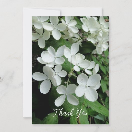 Pee Gee Hydrangea White Flowers Blank Flat Kaart (Voorkant)