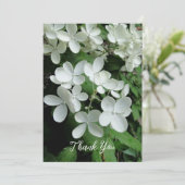 Pee Gee Hydrangea White Flowers Blank Flat Kaart (Staand voorkant)