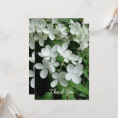 Pee Gee Hydrangea White Flowers Blank Flat Kaart (Voorkant / Achterkant in situ)