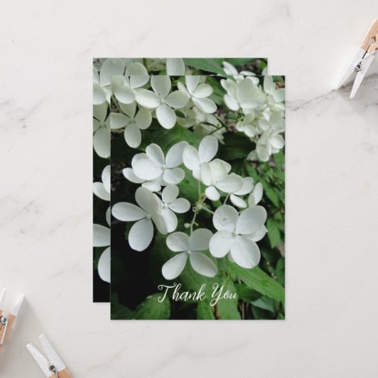 Pee Gee Hydrangea White Flowers Blank Flat Kaart (Voorkant / Achterkant in situ)