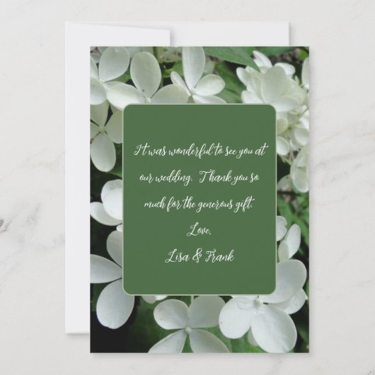 Pee Gee Hydrangea White Flowers Blank Flat Kaart (Achterkant)