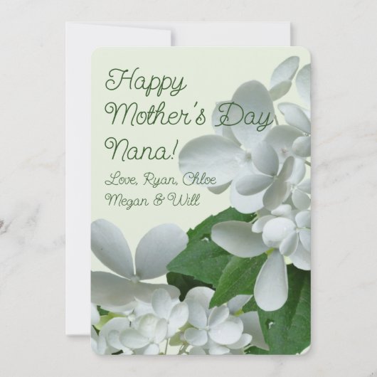 Pee Gee White Hydrangea Flowers Moederdag Kaart (Voorkant)