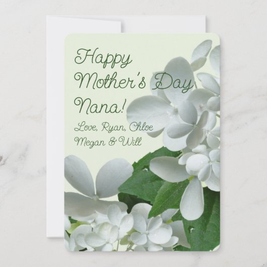 Pee Gee White Hydrangea Flowers Moederdag Kaart (Voorkant)