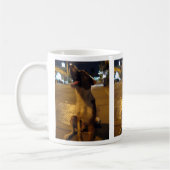 Pee Mai ... Soi Dog, Thailand Koffiemok (Links)