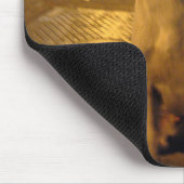 Pee Mai ... Soi Dog, Thailand Muismat (Hoek)