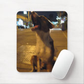 Pee Mai ... Soi Dog, Thailand Muismat (Met muis)