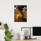 Pee Mai ... Soi Dog, Thailand Poster (Thuiskantoor)
