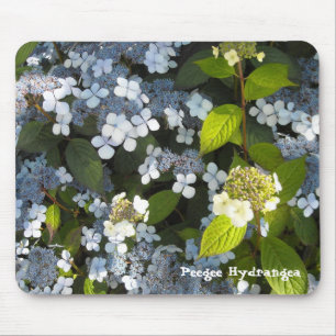 Peegee Hortensia Muismat