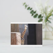 Peek-a-bogiraffe Briefkaart (Staand voorkant)