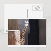 Peek-a-bogiraffe Briefkaart (Voorkant / Achterkant)