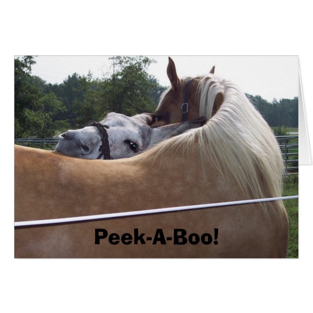 Peek-A-Boo! (Voorkant Horizontaal)