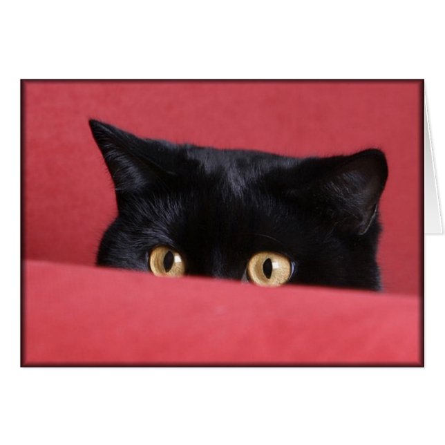 Peek-a-Boo (Voorkant Horizontaal)