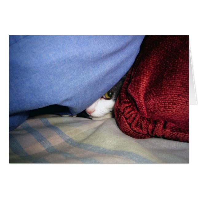 Peek a Boo (Voorkant Horizontaal)