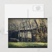 Peek-a-Boo Barn Briefkaart (Voorkant / Achterkant)