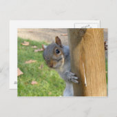 Peek-a-Boo! Briefkaart (Voorkant / Achterkant)