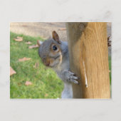 Peek-a-Boo! Briefkaart (Voorkant)