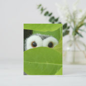 Peek-A-Boo Briefkaart (Staand voorkant)