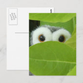 Peek-A-Boo Briefkaart (Voorkant / Achterkant)
