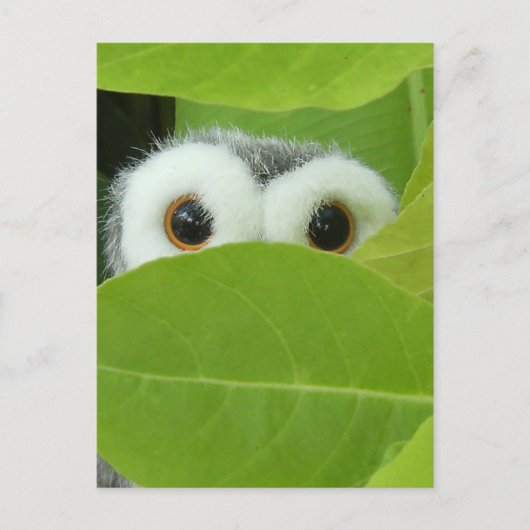 Peek-A-Boo Briefkaart (Voorkant)