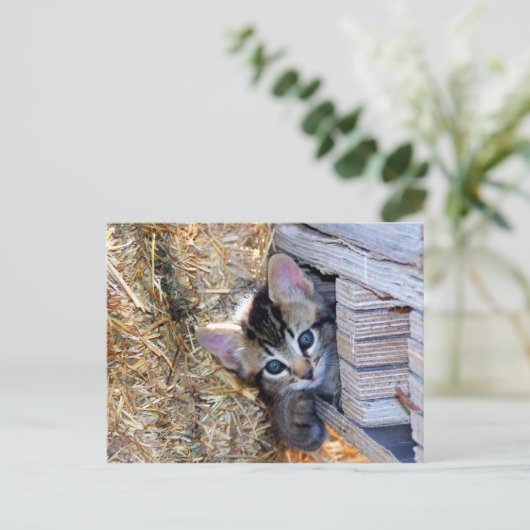 Peek-a-Boo Briefkaart (Staand voorkant)