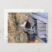 Peek-a-Boo Briefkaart (Voorkant / Achterkant)