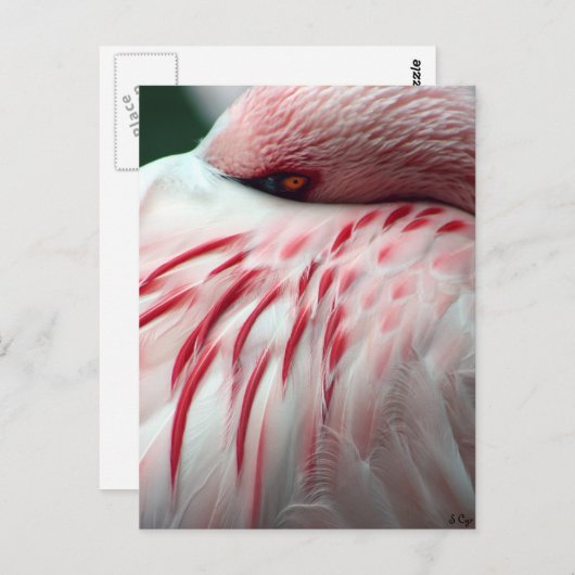 Peek a Boo Briefkaart (Voorkant / Achterkant)