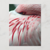 Peek a Boo Briefkaart (Voorkant)