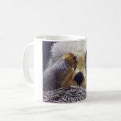 PEEK-A-BOO COMICAL OTTER MOK (Voorkant links)