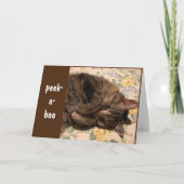 PEEK-A-BOO EN *CONGRATULATIES* AAN U! KAART (Voorkant)