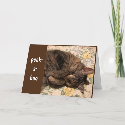 PEEK-A-BOO EN *CONGRATULATIES* AAN U! KAART (Voorkant)