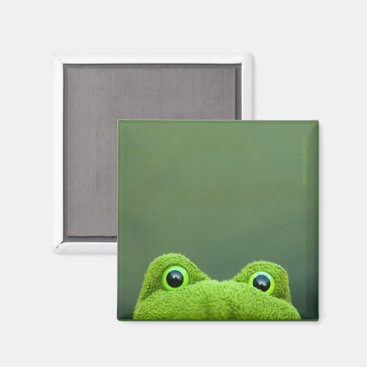 Peek-a-Boo Frog | Vierkante magneet ontwerp (Voorkant / Achterkant)